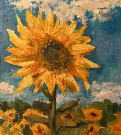 Sunflowers